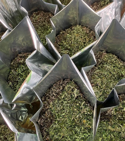 画像に alt 属性が指定されていません。ファイル名: %E3%82%B9%E3%82%AF%E3%83%AA%E3%83%BC%E3%83%B3%E3%82%B7%E3%83%A7%E3%83%83%E3%83%88-2023-07-04-161032.png